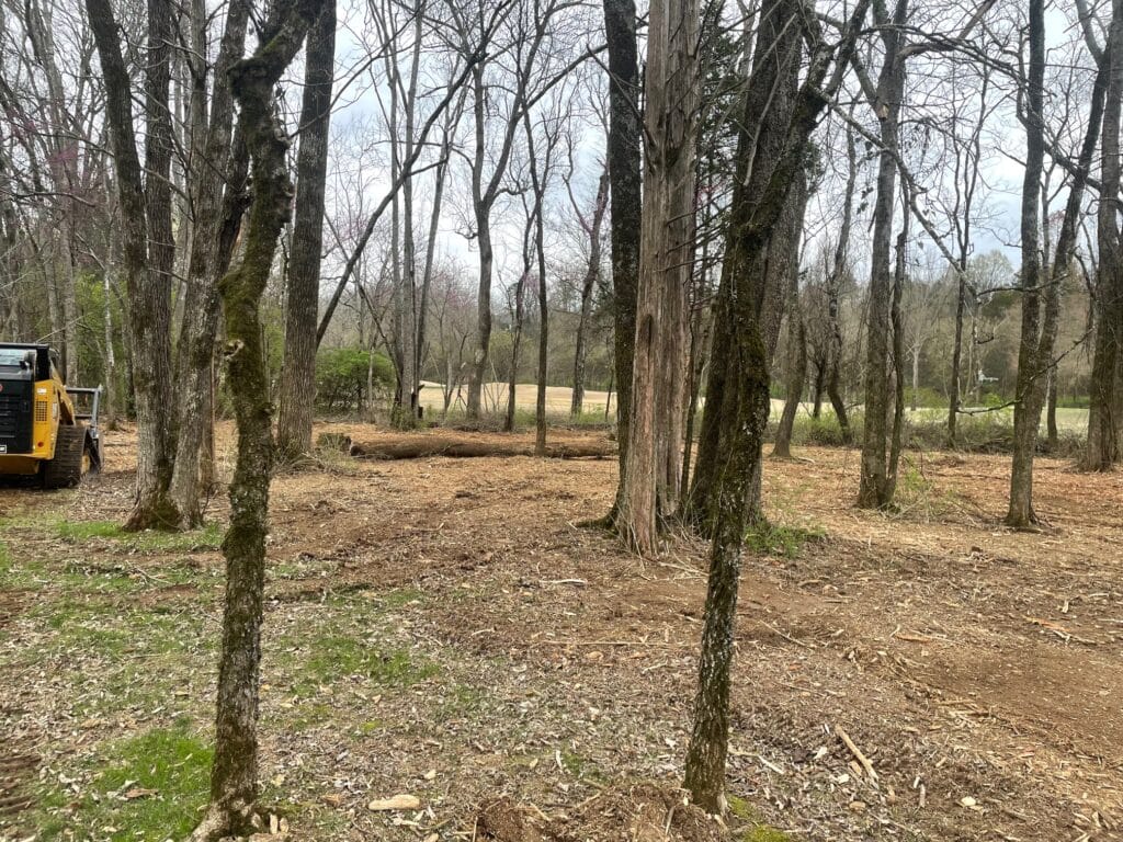 Transform Your Property With Land Clearing Services Near You - The Yard ...